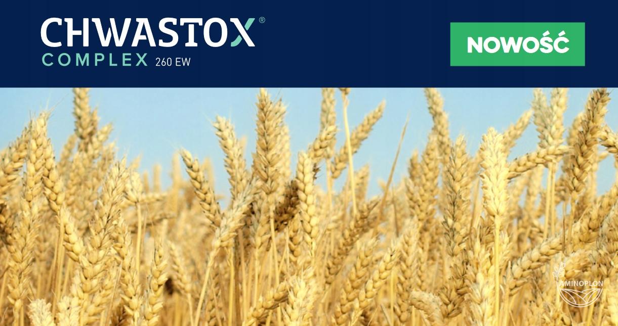 CIECH Chwastox Complex (260EW) - na chwasty w trawnikach, na boiskach i na polach golfowych