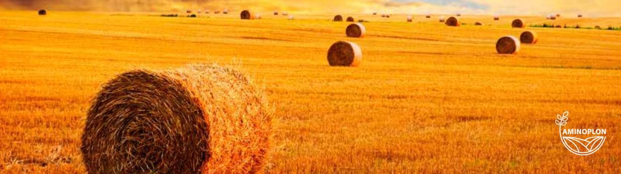 JUBILAT ATLAS 400 sznurek rolniczy do pras