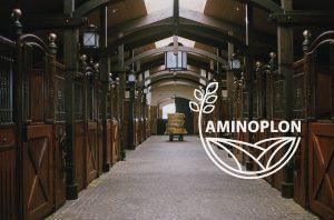 Sucha dezynfekcja obory