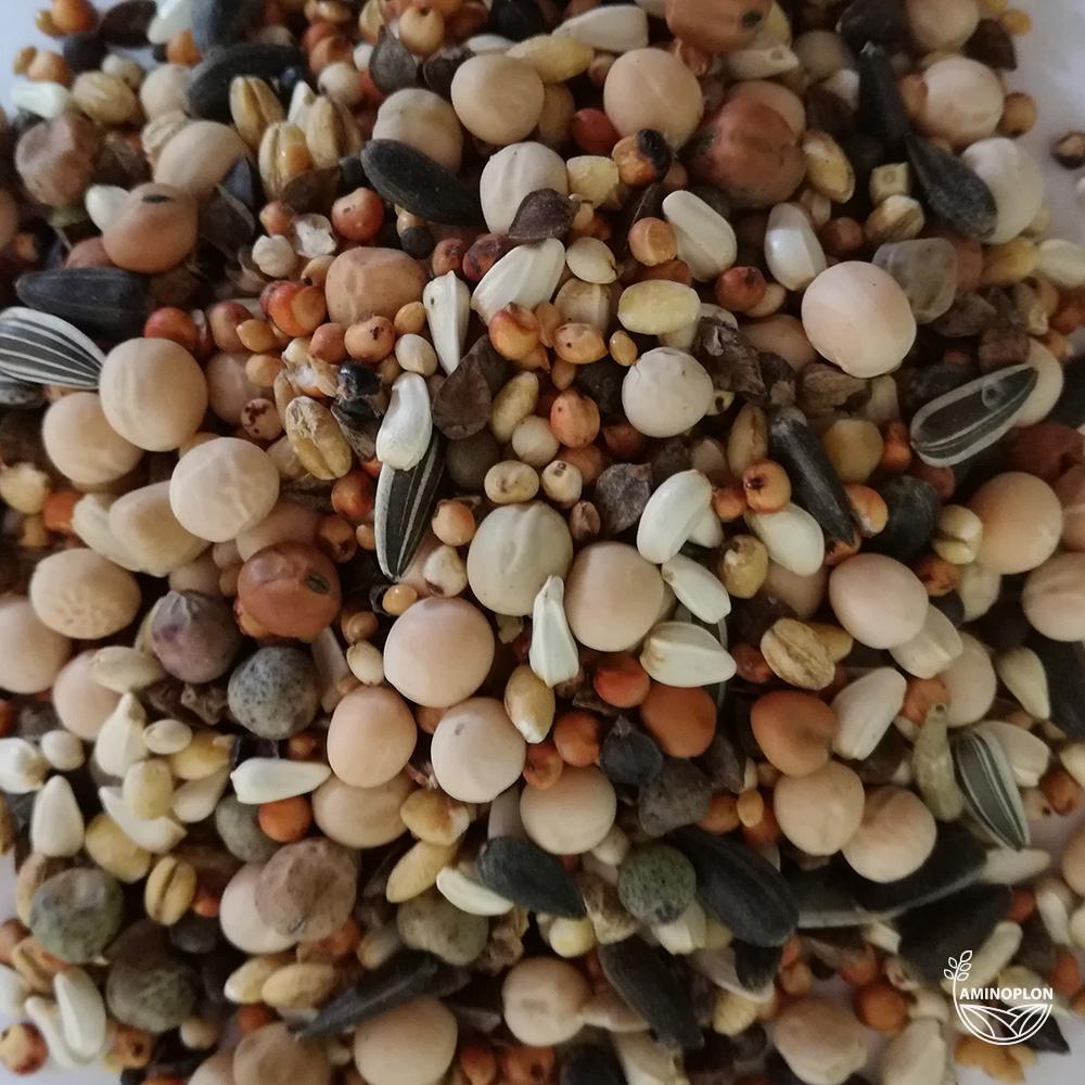 BEST NATURAL Mieszanka zbóż dla Gołębi bez kukurydzy i pszenicy BK 20kg