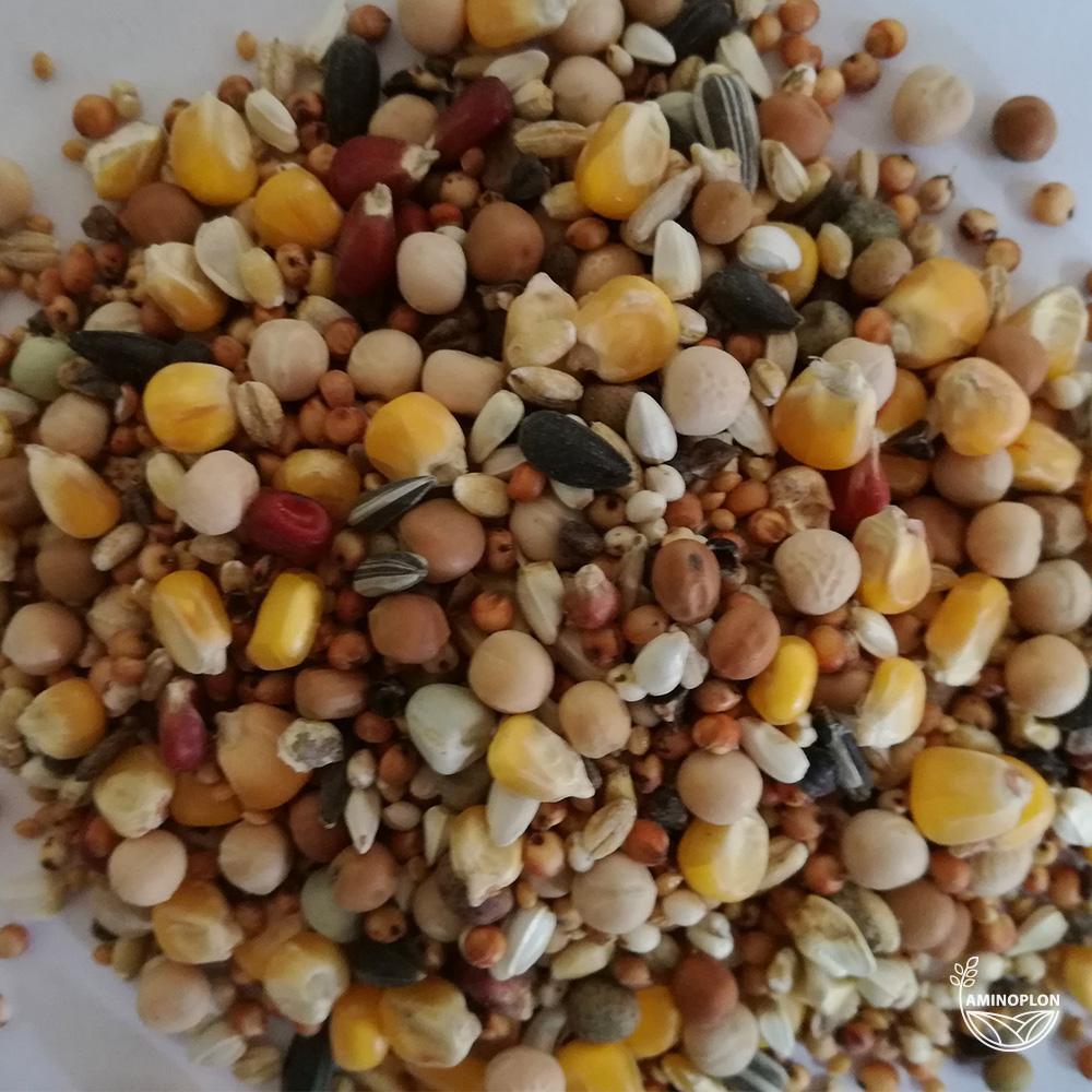 BEST NATURAL Mieszanka zbóż dla Gołębi bez pszenicy BP 20kg