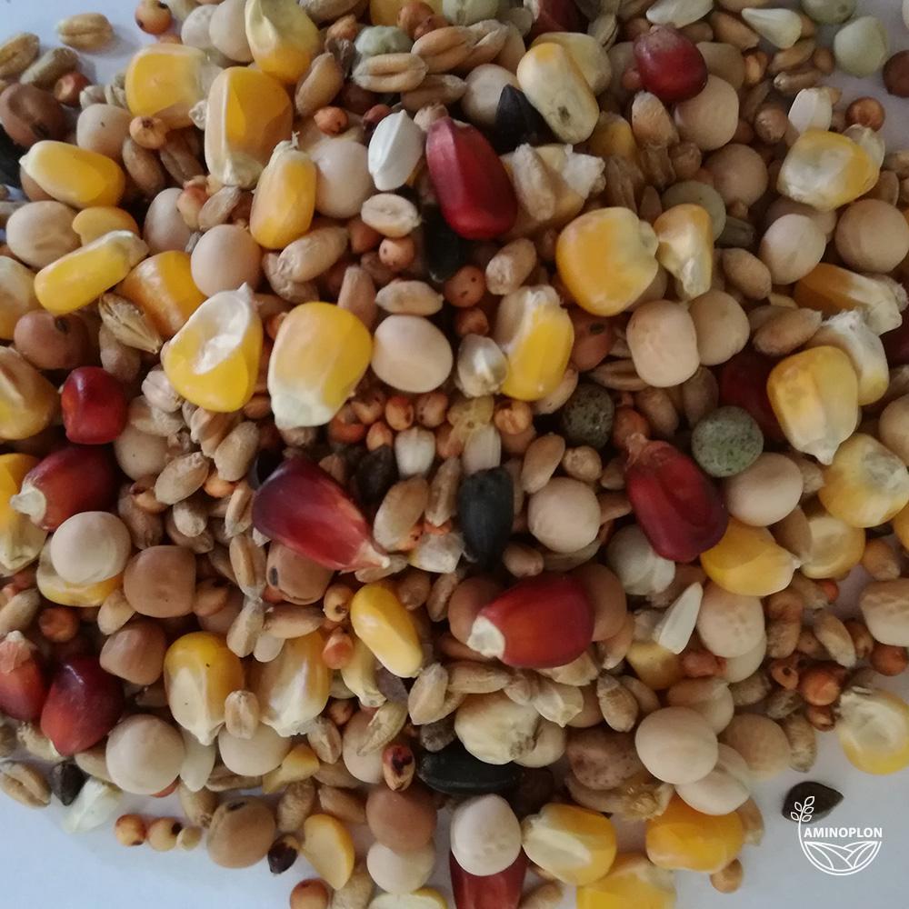 BEST NATURAL Mieszanka zbóż dla Gołębi uniwersalna U+ 20kg