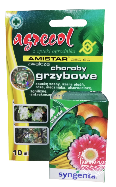 SYNGENTA Amistar (250SC) - na szarą pleśń, mączniaka, rdzę