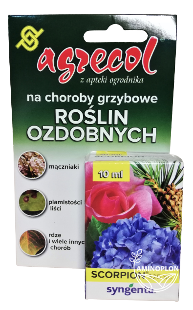 SYNGENTA Scorpion (325SC) - zwalcza choroby grzybowe mączniaki, plamistości liści, rdzę