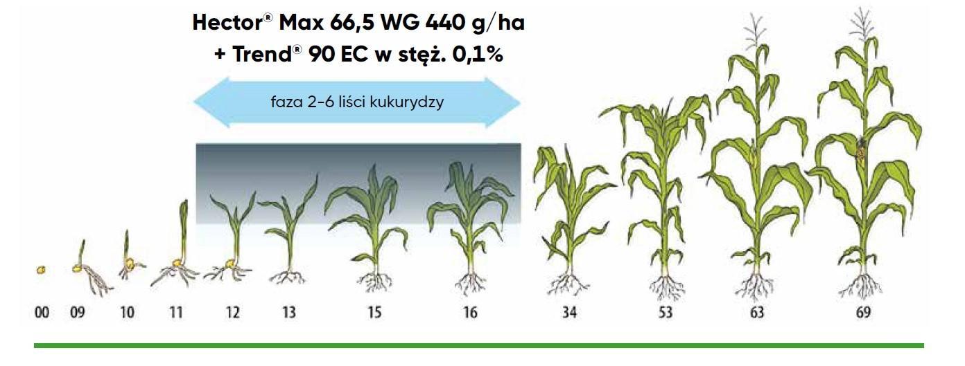 CORTEVA Hector Max (66,5WG) 330g + Trend (EC) 150 ml - powschodowe zwalczanie chwastów jedno i dwuliściennych w kukurydzy