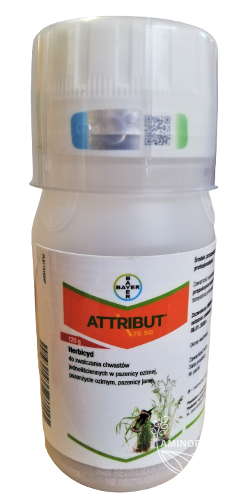 BAYER Attribut (70SG) 120g + Biopower (276,5SL) 1L - powschodowe zwalczanie chwastów jednoliściennych w pszenicy ozimej, jarej, pszenżycie ozimym