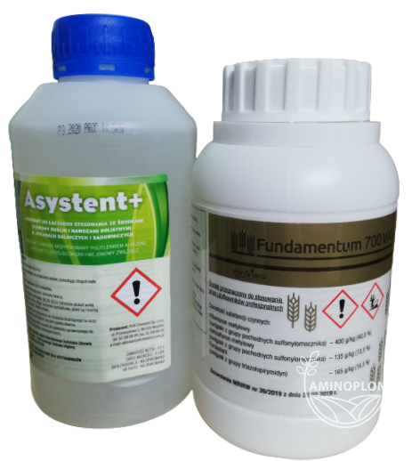 INVIGO Fundamentum (700 WG) +Asystent - wczesne zwalczanie chwastów dwuliściennych w zbożach