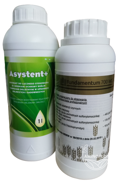 INVIGO Fundamentum (700 WG) +Asystent - wczesne zwalczanie chwastów dwuliściennych w zbożach