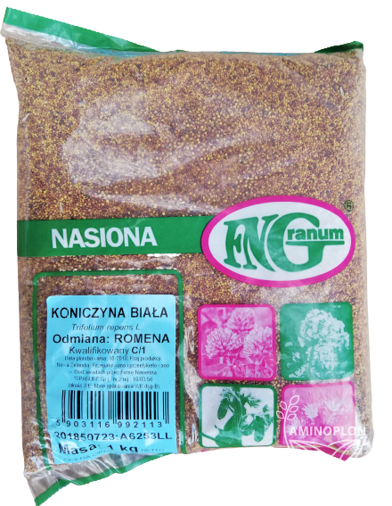 ROMENA Koniczyna biała 1kg - roślina darniotwórcza, składnik paszy, na sianokiszonkę, na zielonkę