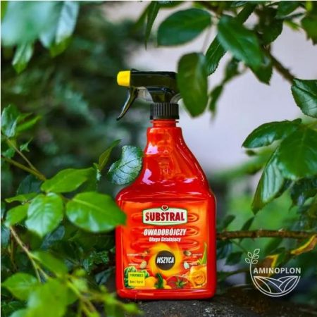 SUBSTRAL Polysect Spray 750ml – gotowy do użycia długo działający środek owadobójczy do zwalczania trudnych szkodników
