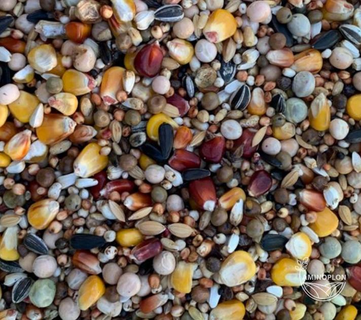 BEST NATURAL Mieszanka zbóż dla Gołębi rozpłodowo lotowa RL 20kg