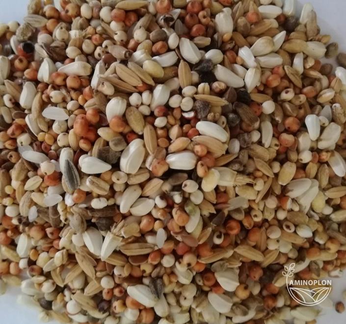 BEST NATURAL Mieszanka zbóż dla Gołębi dieta specjal (D) 20kg