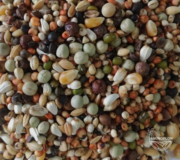 BEST NATURAL Mieszanka zbóż dla Gołębi dla młodych (M) 20kg