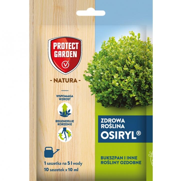 SBM Osiryl - wspomaganie budowy systemu korzeniowego oraz pobierania składników odżywczych w uprawie bukszpanu