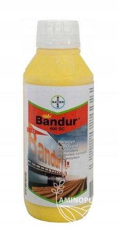 BAYER Bandur (600 SC) – skutecznie likwiduje chwasty w ziemniaku i roślinach warzywnych dzięki działaniu aklonifenu