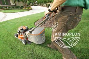 Read more about the article Czy jesienią wystarczy nawóz do trawnika aby cieszyć się piękną murawą na wiosnę?