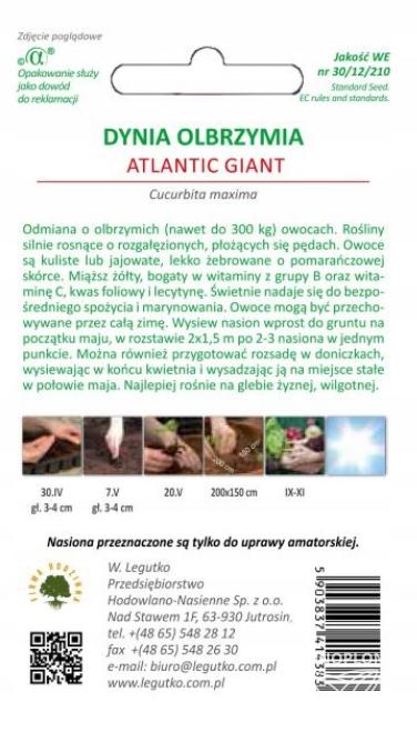 LEGUTKO Dynia olbrzymia Atlantic Giant 3g