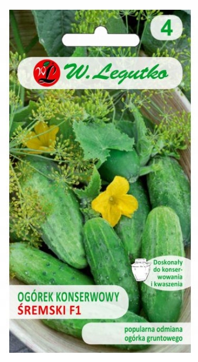 LEGUTKO Ogórek gruntowy konserwowy Śremski F1 2g