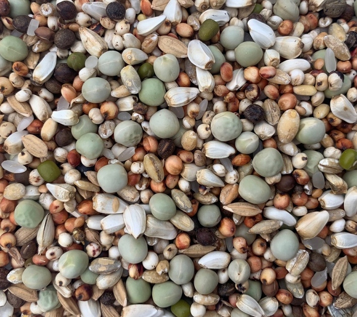 BEST NATURAL - Mieszanka dla Gołębi Krótkodziobów Extra KE 20KG